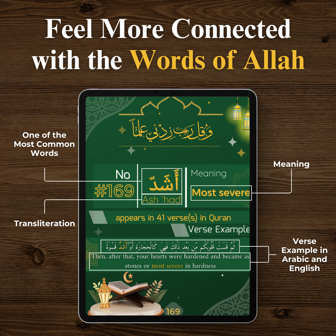 Top 500 Repeated Words in Quran Book